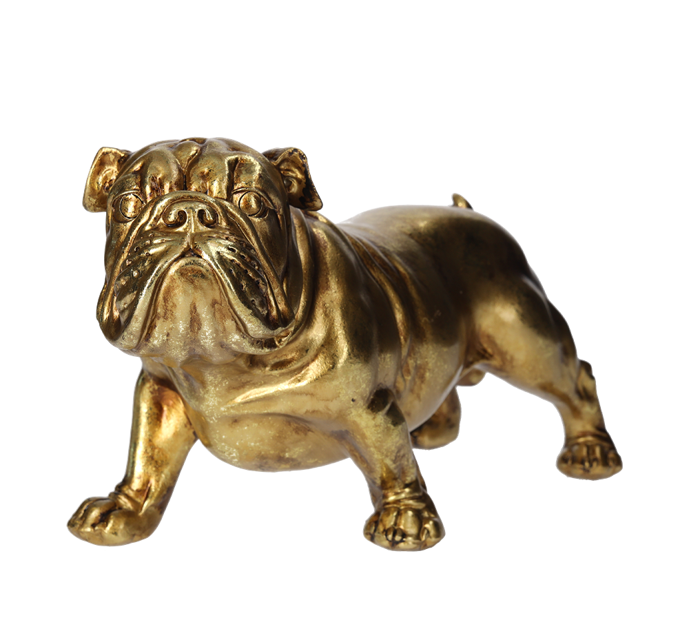 Bulldog dorato in resina h 19 x 35 x 15 cm