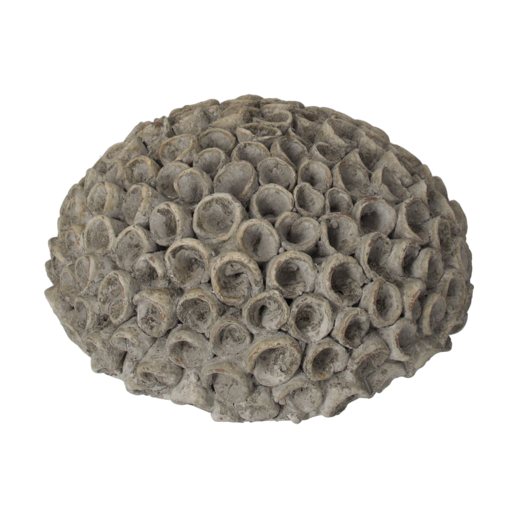 Corallo decorativo resina grigia H9x20