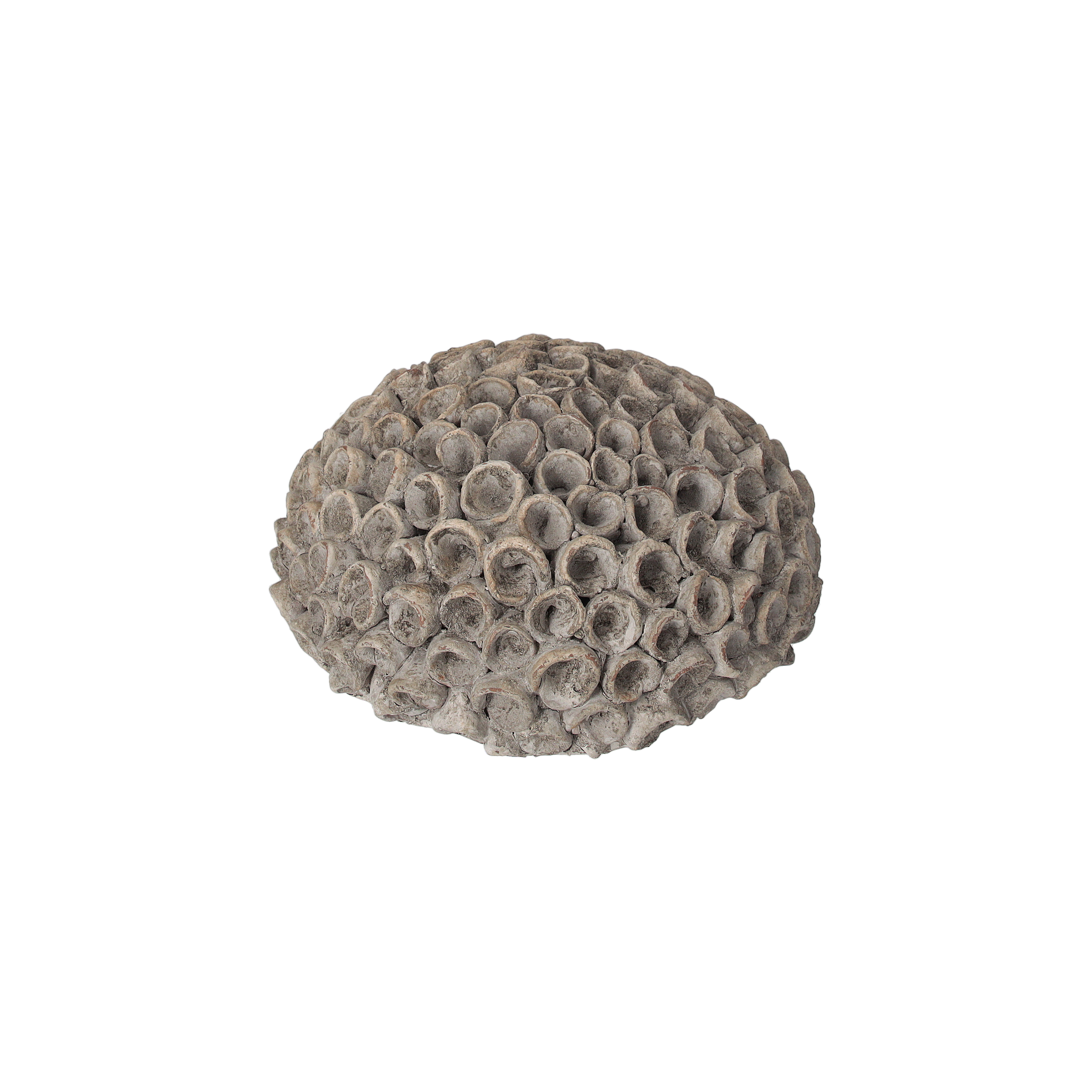 Corallo decorativo resina grigia H10x23