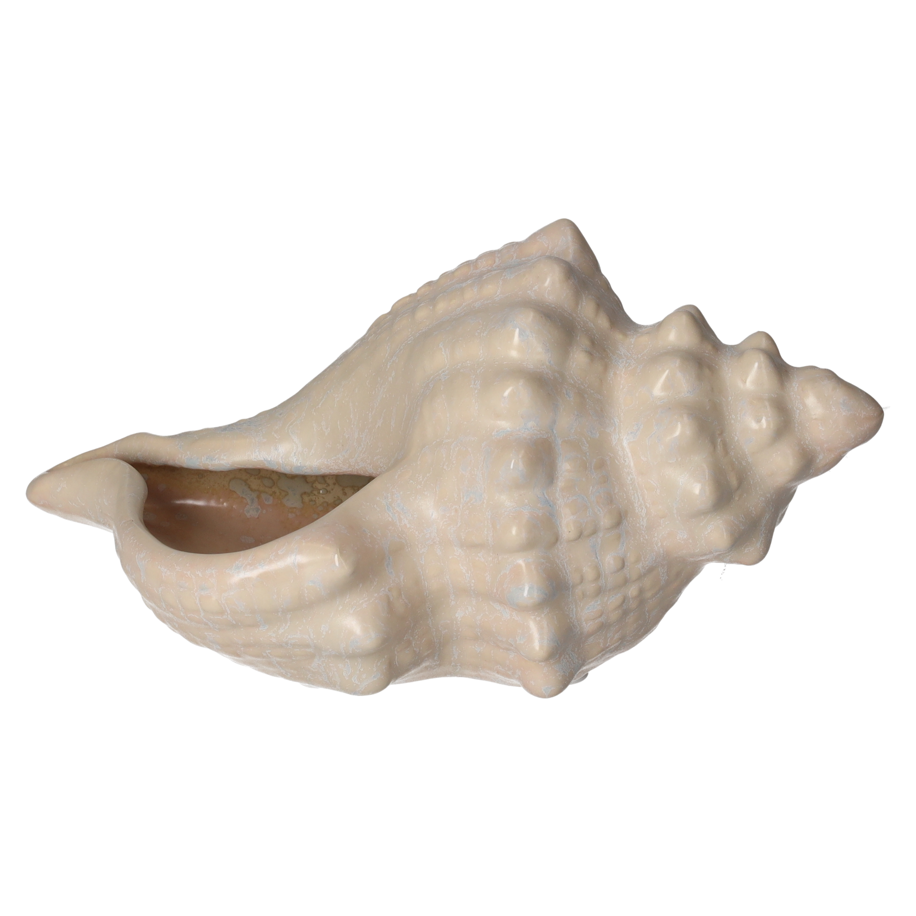 Conchiglia decorativa ceramica bianco avorio H12x25x15
