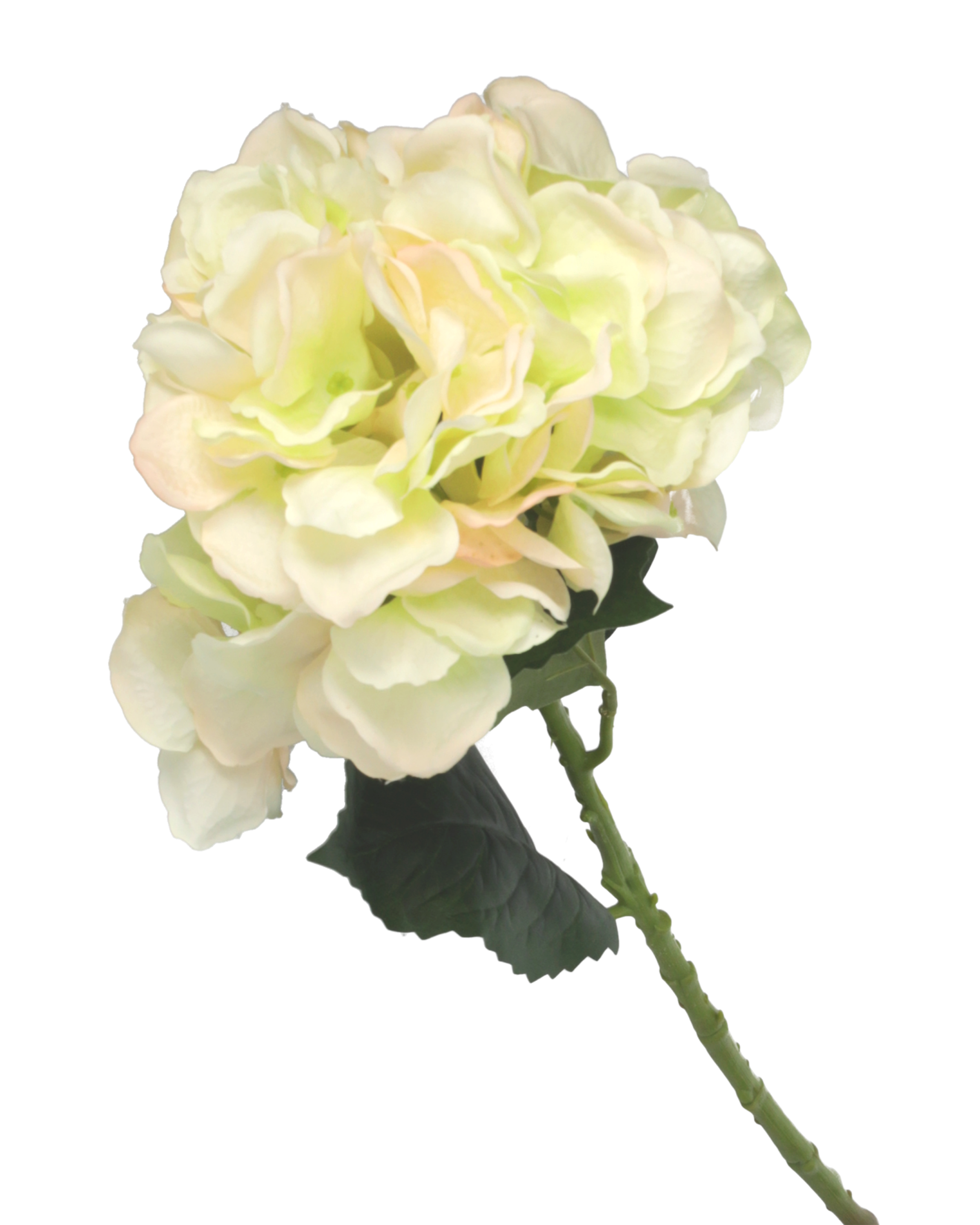 Ortensia artificiale bianco rosa 57 cm