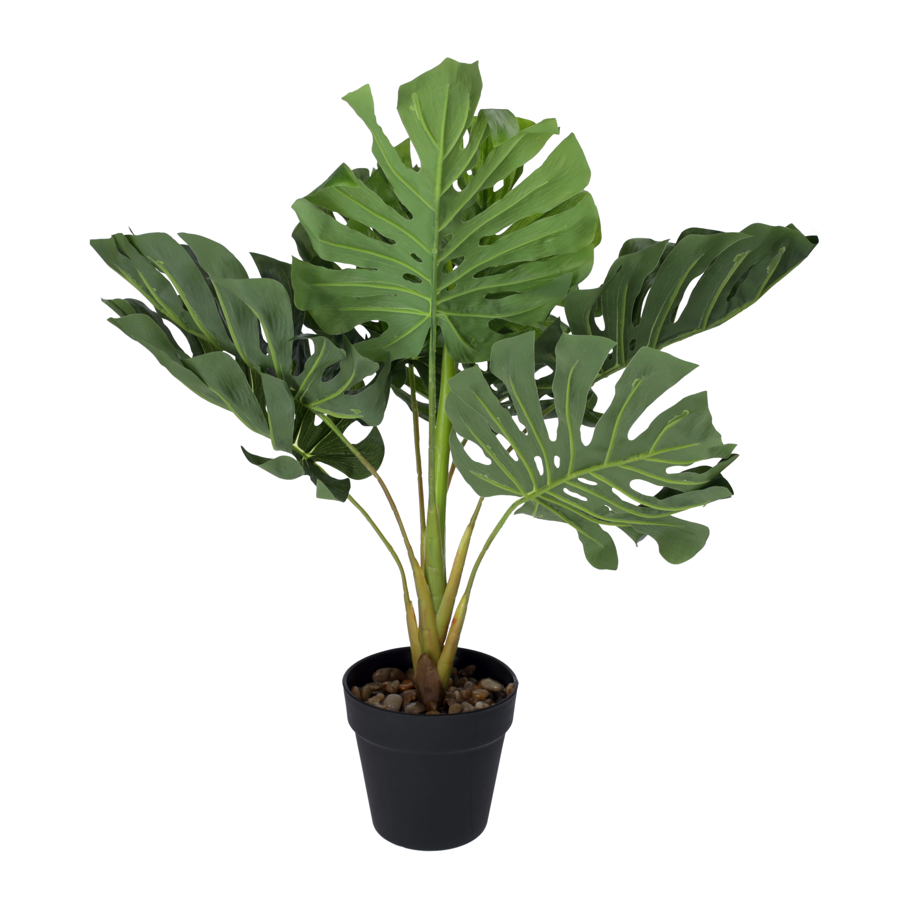 Pianta artificiale monstera vaso 56x46 cm
